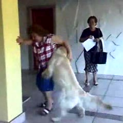 Doggy