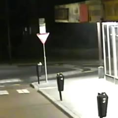 Professional Burglar