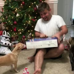 Excited Guy Gets Attacked by Cat