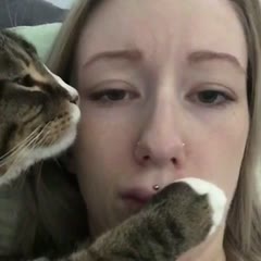 pervert