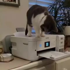 To catch the paper