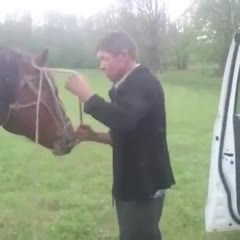 The horse does not obey