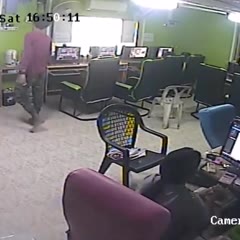 Feisty Snake Slithers into Internet Cafe