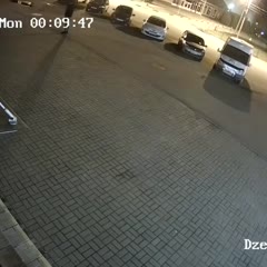 В Ярославле медведь напал на человека (видео)