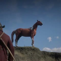 Comment NE PAS attraper un cheval sauvage dans #RDR2 !