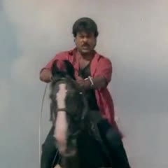 Alluda Majaka - Chiranjeevi In Action