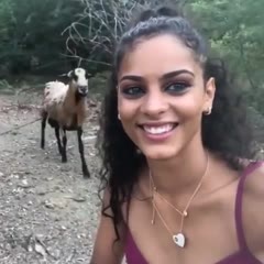 Goat Headbutts Girl Trying to Take Selfie With It
