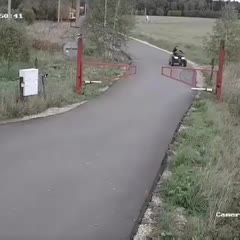 The mother of the year award goes to