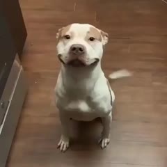 That bone is mine