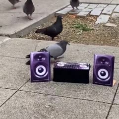 🕺