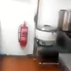 A Bunch Of Rats Run Up A Hole In A Kitchen Ceiling After The Light Gets Turned On