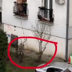 Obozavam Srbiju🤣🤣🤣
