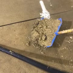 Early Celebration After Fishing Phone out of a Poop Pit