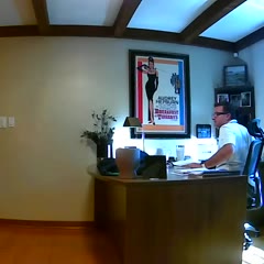 Squirrel Interrupts Conference Call