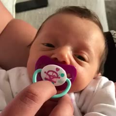 Stay away from my teat!