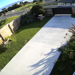 Driver Takes Roundabout Too Fast and Ends Up in the Ditch