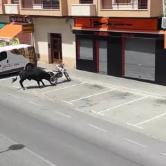This is how the bullsh*t enters our Monday 😩