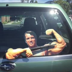 Arnold Schwarzenegger Windscreen Wiper