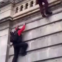 Mario Capitol