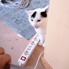 Can you read this