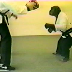Taekwando Monkey