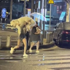 Two different umbrellas