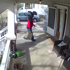 Dog Breaks Through Front Door and Chases Delivery Guy