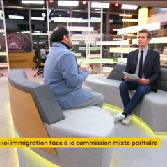 Un politologue se lâche en direct