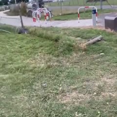 Meanwhile in New Zealand