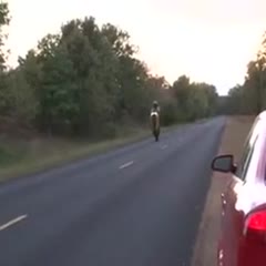 Nice Wheeling