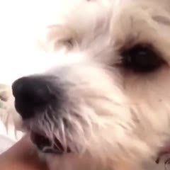 Coughing ?!