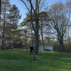 Toppling Timber Goes Terribly Wrong