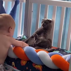 Maybe if I stay still he won't see me