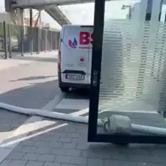 Perfect example of physical law!