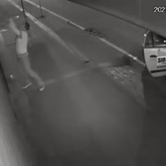 Best burglars ever