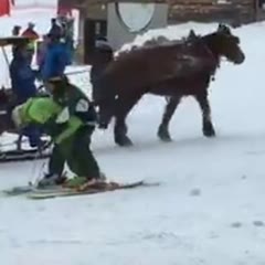Les meilleurs sont à Avoriaz ! Le génépi c'est mal m'voyez ! #compliqué #avoriaz