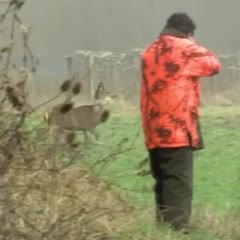 Le meilleur chasseur en forêt