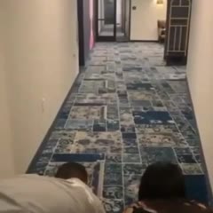 Terminator mode ...
