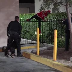 RIPPED OFF A FENCE BY THE SEAT OF HIS PANTS