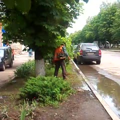 Газонокосильщик Попасной
