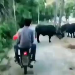 Newton's third law!