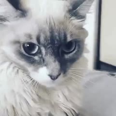What is that?