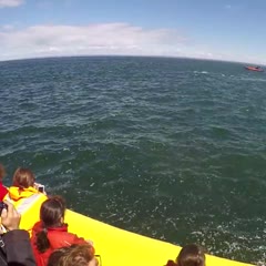 Grosse frayeur à bord d'un Zodiac ... Tabarnak