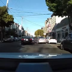 Instant Karma for Pompous Prius
