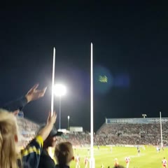 Falcon of the year! Cowboys vs Dragons 21/07/18