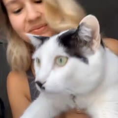 Bruh Moments