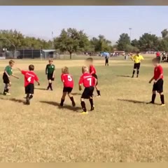 Nutshot, headshot, headshot!