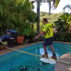 Cross the plank. Win some money. How hard can it be?