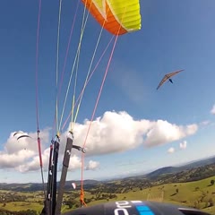 Paraglider Hanglider head on crash