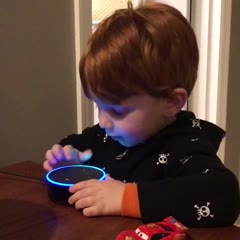 Amazon Alexa Gone Wild!